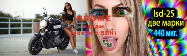прущие грибы Абинск