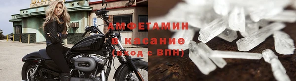 прущие грибы Абинск