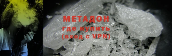 прущие грибы Абинск
