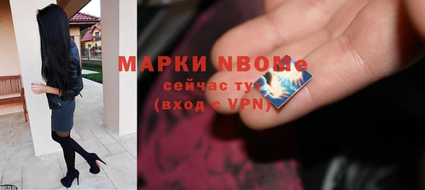 прущие грибы Абинск