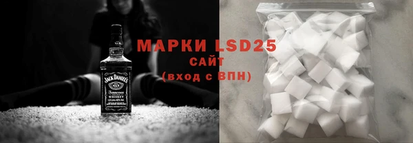 прущие грибы Абинск
