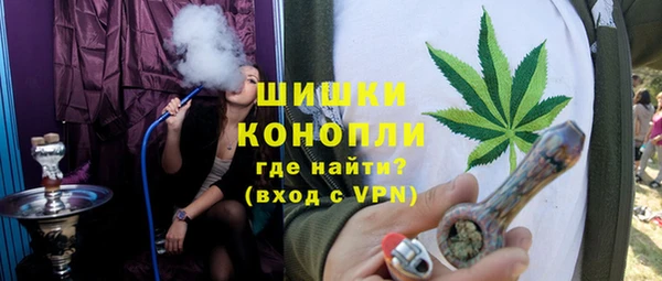 прущие грибы Абинск