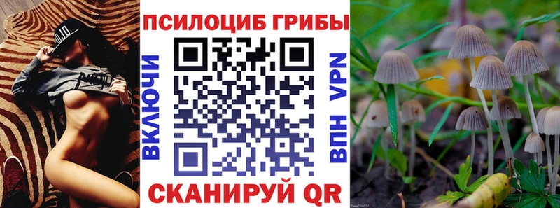 Псилоцибиновые грибы Cubensis  blacksprut   Судогда 