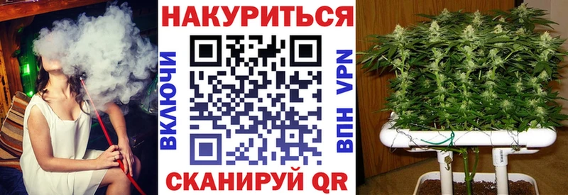 продажа наркотиков  Судогда  Конопля тримм 